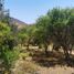  Land for sale in Chile, Olmue, Quillota, Valparaiso, Chile