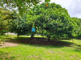  Grundstück zu verkaufen in Negros Oriental, Negros Island Region, Valencia, Negros Oriental