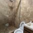 5 Habitación Casa en alquiler en Tijuana, Baja California, Tijuana