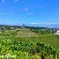 Terrain à vendre à Cebu City, Central Visayas, Cebu City