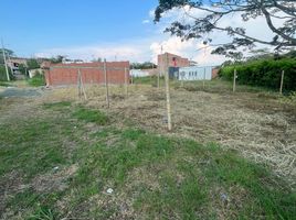  Terreno (Parcela) en venta en Cartago, Valle Del Cauca, Cartago