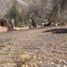  Land for sale in Sacred Valley, Huayllabamba, Yucay