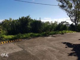  Land for sale in Cavite, Calabarzon, Tagaytay City, Cavite