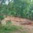  Terreno (Parcela) en venta en Manglaralto, Santa Elena, Manglaralto