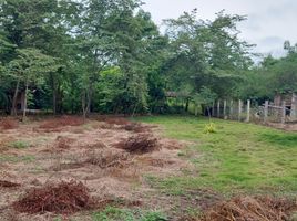  Terreno (Parcela) en venta en Manglaralto, Santa Elena, Manglaralto