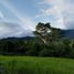  Land for sale in San Antonio, San Martin, San Antonio, San Martin, San Martin
