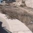  Terreno (Parcela) en venta en Cerro Colorado, Arequipa, Cerro Colorado, Arequipa, Arequipa