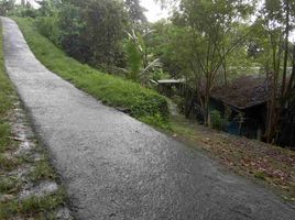  Grundstück zu verkaufen in Tabanan, Bali, Selemadeg, Tabanan