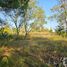  Land for sale in Mineral Del Chico, Hidalgo, Mineral Del Chico