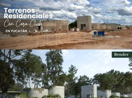  Grundstück zu verkaufen in Tixpehual, Yucatan, Tixpehual