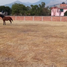  Grundstück zu verkaufen in Huehuetoca, Mexico, Huehuetoca