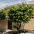 Villa 4 chambre à vendre à Guadalajara, Jalisco, Guadalajara