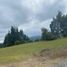  Land for sale in Guarne, Antioquia, Guarne