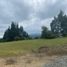  Land for sale in Guarne, Antioquia, Guarne