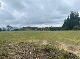  Terreno (Parcela) en venta en Guarne, Antioquia, Guarne