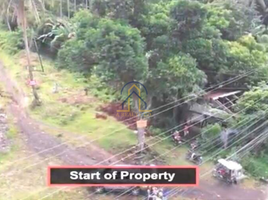  Land for sale in Camalig, Albay, Camalig