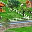  Terreno (Parcela) en venta en Cebu City, Central Visayas, Cebu City, Cebu, Central Visayas, Filipinas
