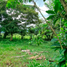  Land for sale in Acacias, Meta, Acacias