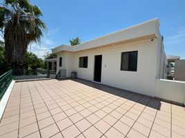 250 m² Office for rent in Merida, Yucatan, Merida