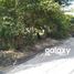  Land for rent in Mengwi, Bali, Mengwi