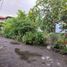  Terrain for sale in Depok, Sleman, Depok