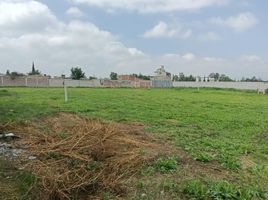  Grundstück zu verkaufen in Coyotepec, Mexico, Coyotepec