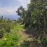  Terrain for sale in Cumbaya, Quito, Cumbaya