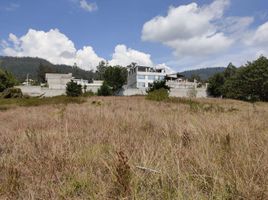  Terrain for sale in Cumbaya, Quito, Cumbaya