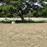  Land for sale in Batangas, Calabarzon, San Juan, Batangas