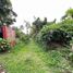  Land for sale in Cavite, Calabarzon, Alfonso, Cavite