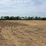  Terreno (Parcela) en venta en Compostela, Nayarit, Compostela