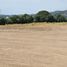  Terreno (Parcela) en venta en Compostela, Nayarit, Compostela