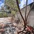 Villa 2 chambre à vendre à Merida, Yucatan, Merida