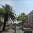 3 Habitación Apartamento en venta en Miguel Hidalgo, Ciudad de México, Miguel Hidalgo