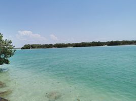  Terreno (Parcela) en venta en Hunucma, Yucatán, Hunucma