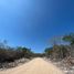  Terreno (Parcela) en venta en Hunucma, Yucatán, Hunucma