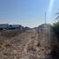  Land for sale in San Luis Potosi, San Luis Potosi, San Luis Potosi, San Luis Potosi