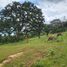 Land for sale in Amacueca, Jalisco, Amacueca