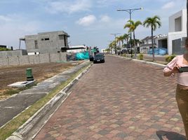  Terreno (Parcela) en venta en Samborondón, Guayas, Samborondon, Samborondón