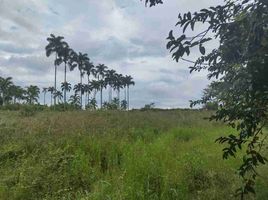  Land for sale in Pereira, Risaralda, Pereira