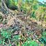  Terreno (Parcela) en venta en Cebu City, Central Visayas, Cebu City