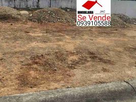  Land for sale in Daule, Guayas, Daule, Daule