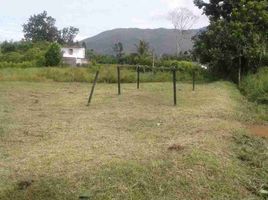  Land for sale in Piedecuesta, Santander, Piedecuesta