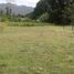  Land for sale in Piedecuesta, Santander, Piedecuesta