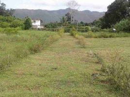  Terrain for sale in Piedecuesta, Santander, Piedecuesta