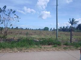  Land for sale in Bataan, Central Luzon, Bagac, Bataan