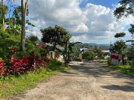  Land for sale in Ngargoyoso, Karanganyar, Ngargoyoso