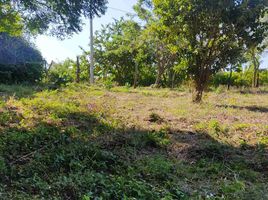  Land for sale in Tubara, Atlantico, Tubara