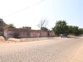  Terreno (Parcela) en venta en Piura, Piura, Castilla, Piura