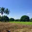  Land for sale in Bukidnon, Northern Mindanao, Manolo Fortich, Bukidnon